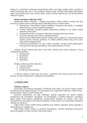 Rėmimo komplekso vieta įmonės veikloje: "Tele2" 5 puslapis