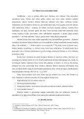 Šeimos teisiniai aspektai pagal 1529 metų Lietuvos statutą 10 puslapis