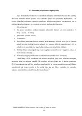 Šeimos teisiniai aspektai pagal 1529 metų Lietuvos statutą 14 puslapis