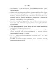 Šeimos teisiniai aspektai pagal 1529 metų Lietuvos statutą 19 puslapis