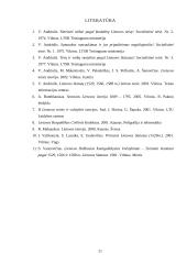 Šeimos teisiniai aspektai pagal 1529 metų Lietuvos statutą 20 puslapis