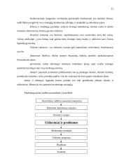 Rinkodaros planas: kelionės organizavimo paslaugos UAB "Busturas" 12 puslapis