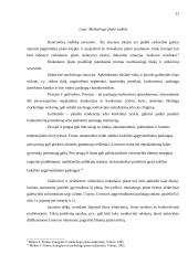 Rinkodaros planas: kelionės organizavimo paslaugos UAB "Busturas" 13 puslapis