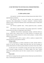 Rinkodaros planas: kelionės organizavimo paslaugos UAB "Busturas" 15 puslapis