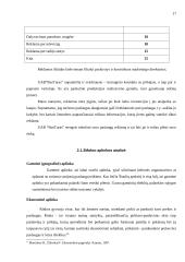 Rinkodaros planas: kelionės organizavimo paslaugos UAB "Busturas" 17 puslapis