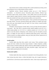 Rinkodaros planas: kelionės organizavimo paslaugos UAB "Busturas" 18 puslapis