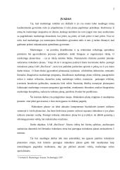 Rinkodaros planas: kelionės organizavimo paslaugos UAB "Busturas" 3 puslapis