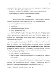 Rinkodaros planas: kelionės organizavimo paslaugos UAB "Busturas" 7 puslapis