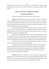 Rinkodaros plano parinkimas: UAB "Avon Cosmetics" 20 puslapis