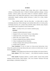 Rinkodaros plano parinkimas: UAB "Avon Cosmetics" 3 puslapis