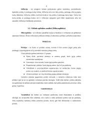 Rinkodaros plano parinkimas: UAB "Avon Cosmetics" 8 puslapis