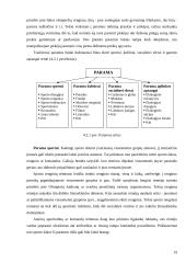 Ryšiai su visuomene ir jų reikšmė įmonės valdyme: UAB "Mantinga" 19 puslapis