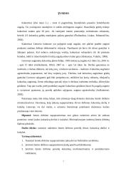 Rudeninio žemės dirbimo poveikis dirvai, kukurūzų derliui ir kokybei 2 puslapis