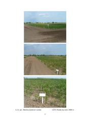 Rudeninio žemės dirbimo poveikis dirvai, kukurūzų derliui ir kokybei 12 puslapis