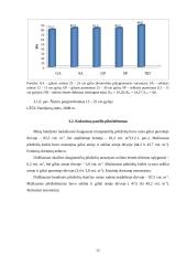 Rudeninio žemės dirbimo poveikis dirvai, kukurūzų derliui ir kokybei 20 puslapis