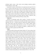 Rudeninio žemės dirbimo poveikis dirvai, kukurūzų derliui ir kokybei 4 puslapis