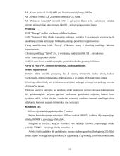 Sąvartynų problemos 13 puslapis