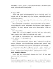 Sąvartynų problemos 15 puslapis