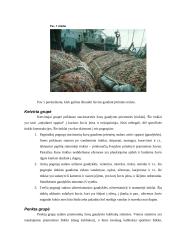 Žvejybos priemonės pramoninėje žūklėje 5 puslapis