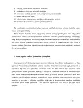 Smurtas prieš vaikus šeimoje, kaip socialinė problema ir jos sprendimo galimybės 12 puslapis