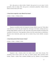 Smurtas prieš vaikus šeimoje, kaip socialinė problema ir jos sprendimo galimybės 19 puslapis