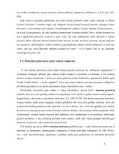 Smurtas prieš vaikus šeimoje, kaip socialinė problema ir jos sprendimo galimybės 6 puslapis