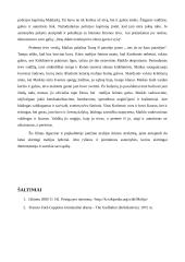 Filmo analizė: "Krikštatėvis" 3 puslapis