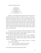 Socialinė atsakomybė ir verslo etika 13 puslapis