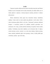 Socialinė atsakomybė ir verslo etika 3 puslapis