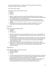 Socialiniai ir teisiniai aspektai Lietuvos paprotinėje teisėje 13 puslapis