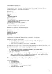 Socialiniai ir teisiniai aspektai Lietuvos paprotinėje teisėje 17 puslapis