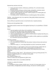 Socialiniai ir teisiniai aspektai Lietuvos paprotinėje teisėje 18 puslapis