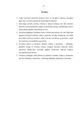 Socialinio darbo ypatumai su sutrikusio intelekto vaikais ir jaunuoliais 13 puslapis