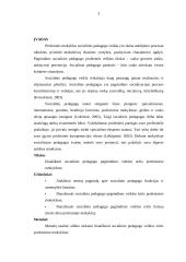 Socialinio pedagogo pagrindinės veiklos sritys 2 puslapis