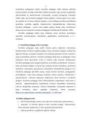 Socialinio pedagogo pagrindinės veiklos sritys 4 puslapis