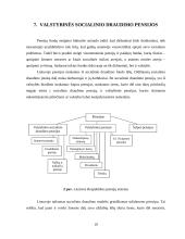 Socialinių garantijų administracinė teisinė funkcija 19 puslapis