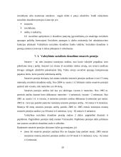 Socialinių garantijų administracinė teisinė funkcija 20 puslapis