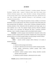 Socialinių garantijų administracinė teisinė funkcija 3 puslapis