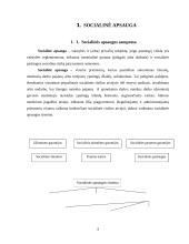 Socialinių garantijų administracinė teisinė funkcija 4 puslapis
