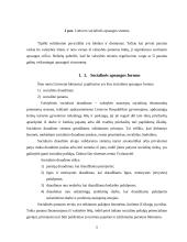 Socialinių garantijų administracinė teisinė funkcija 5 puslapis