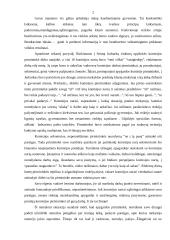 Situacijos etinė analizė 2 puslapis