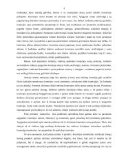 Situacijos etinė analizė 3 puslapis