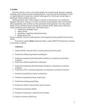 Sraigto savikainos skaičiavimas 2 puslapis