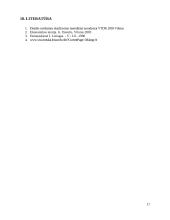 Sraigto savikainos skaičiavimas 17 puslapis