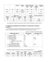 Sraigto savikainos skaičiavimas 5 puslapis