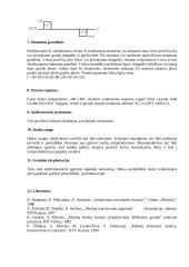 Stacionarus krovinių keltuvas 7 puslapis