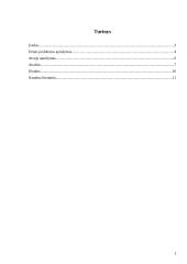 Valstybės tarnautojo etika: Alytaus mero atvejis 2 puslapis