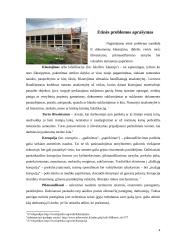 Valstybės tarnautojo etika: Alytaus mero atvejis 4 puslapis