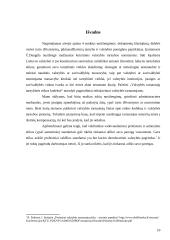 Valstybės tarnautojo etika: Alytaus mero atvejis 10 puslapis