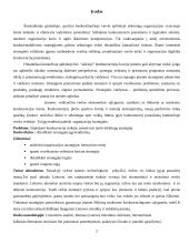 Strategijos įgyvendinimas 2 puslapis